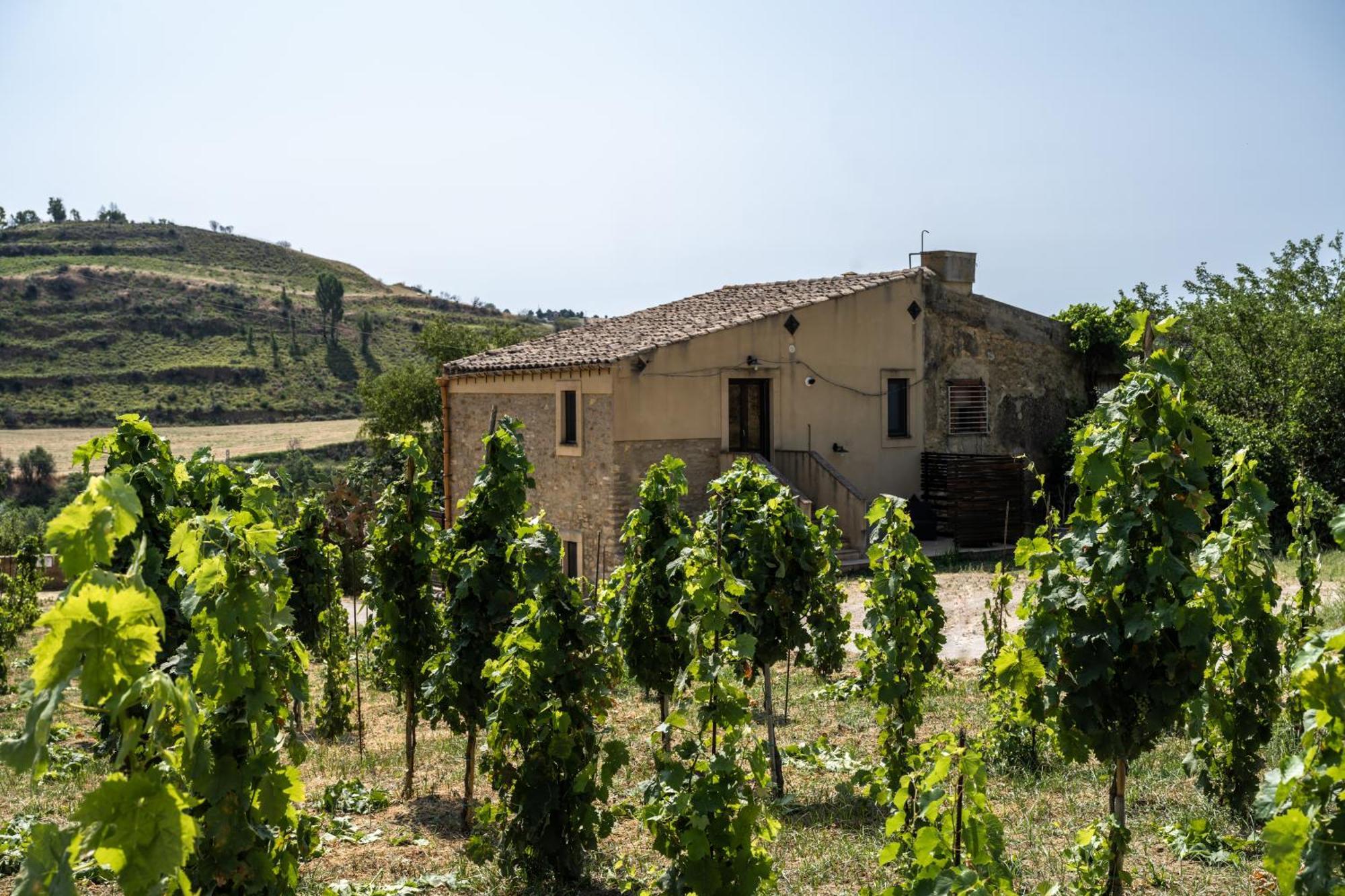Cottage Immerso Nel Vigneto Caltagirone Ngoại thất bức ảnh